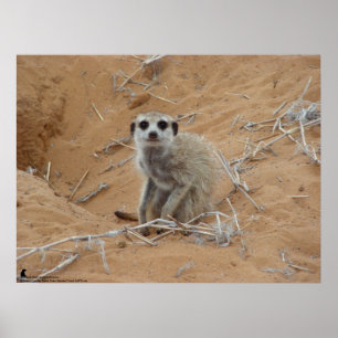 The Fluffernutter Collection - Smiling Poster