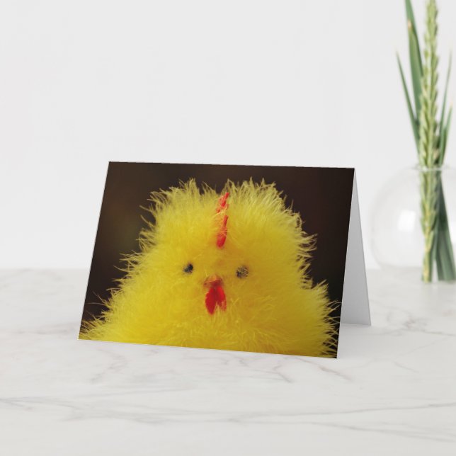 The Fluffy Chick Greeting Card (Front)