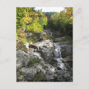 The Flume of New Hampshire Postcard