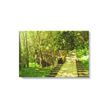 The Flume Trail