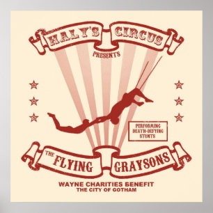 The Flying Graysons Poster