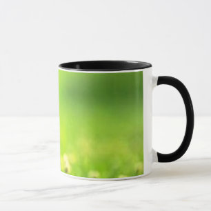 the flying kitten mug