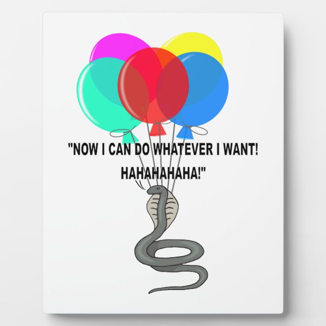 The Flying Snake Plaque (Front)