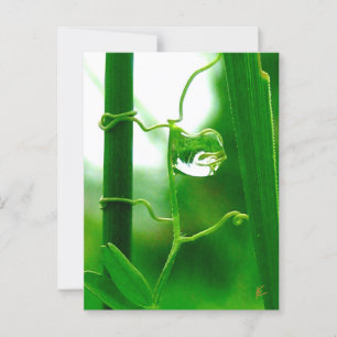 The Fool, Tarot in Nature Meditation Postcard