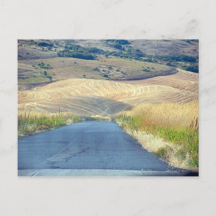 The Foothills of Steptoe Butte Postcard