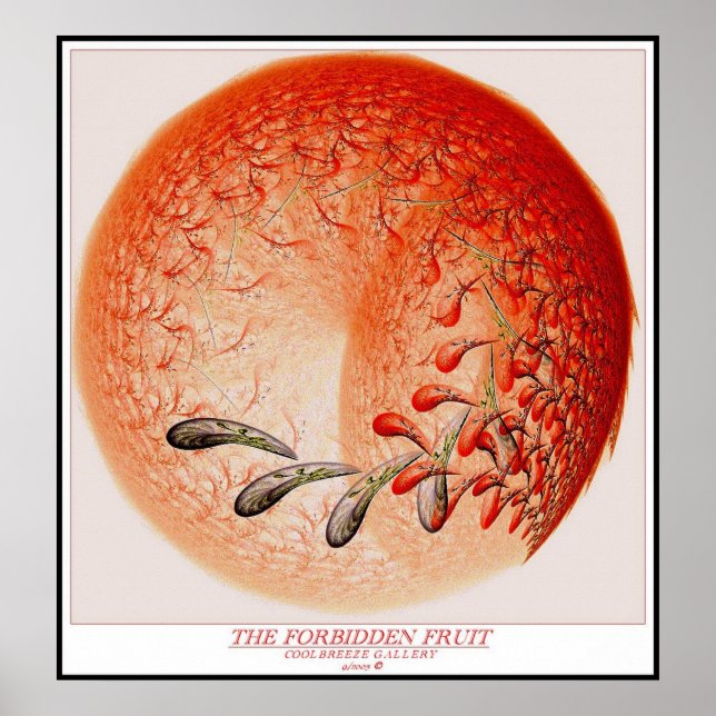 THE FORBIDDEN FRUIT POSTER (Front)