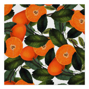 The forbidden orange poster 20x20