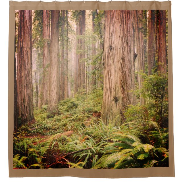 THE FOREST 2 SHOWER CURTAIN (Front)