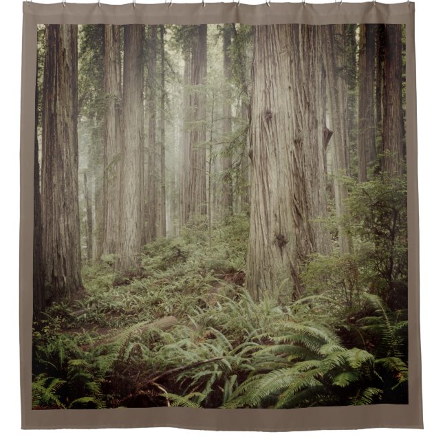 THE FOREST 3 SHOWER CURTAIN (Front)