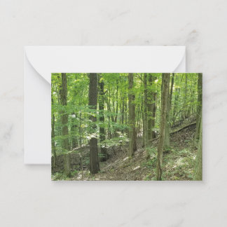 The forest notecards