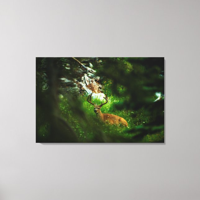 The Forest Prince Canvas Print (Front)