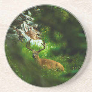 The Forest Prince Coaster