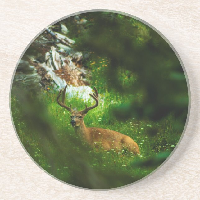 The Forest Prince Coaster (Front)