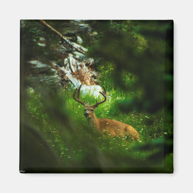 The Forest Prince Magnet (Front)