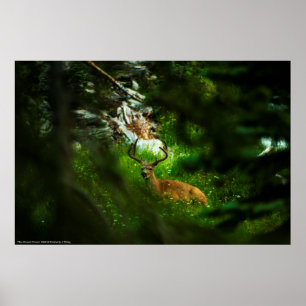 The Forest Prince Poster