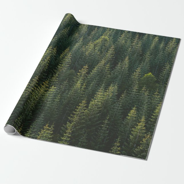 The Forest Wrapping Paper (Unrolled)