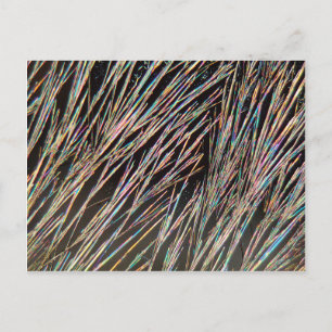 The form of fragrance: Coumarin crystals Postcard