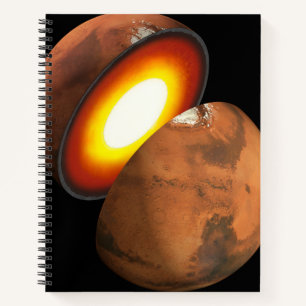 The Formation Of Rocky Bodies In The Solar System. Notebook