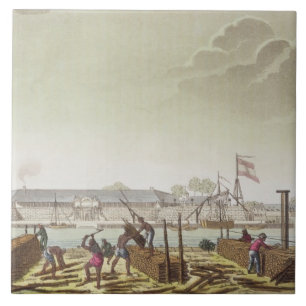 The Fort at Batavia with Native Loggers, plate 50 Tile