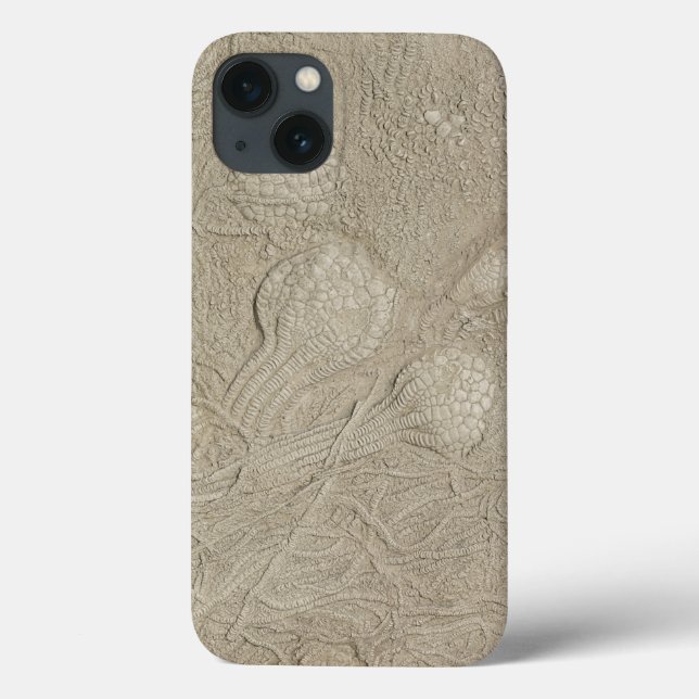 The Fossil Collection Jellyfish Case-Mate iPhone Case (Back)