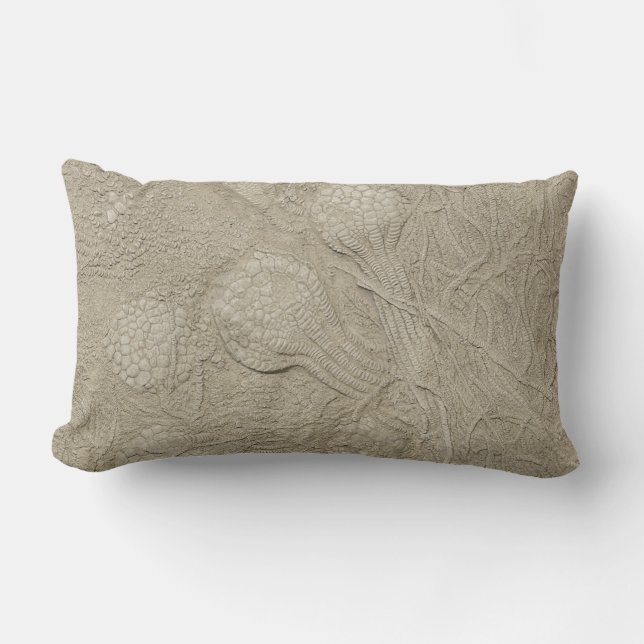 The Fossil Cushion Collection (Front)