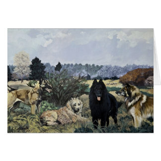 The Four Belgians Card