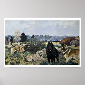 The Four Belgians Poster