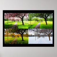 The Four Seasons