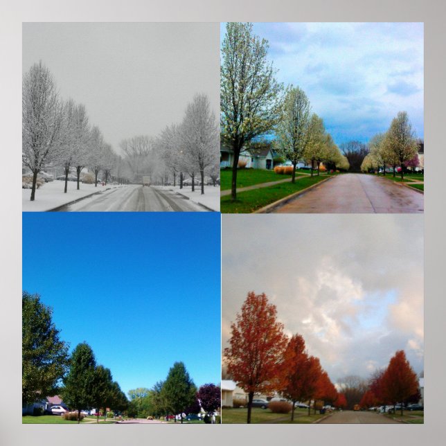 THE FOUR SEASONS POSTER (Front)