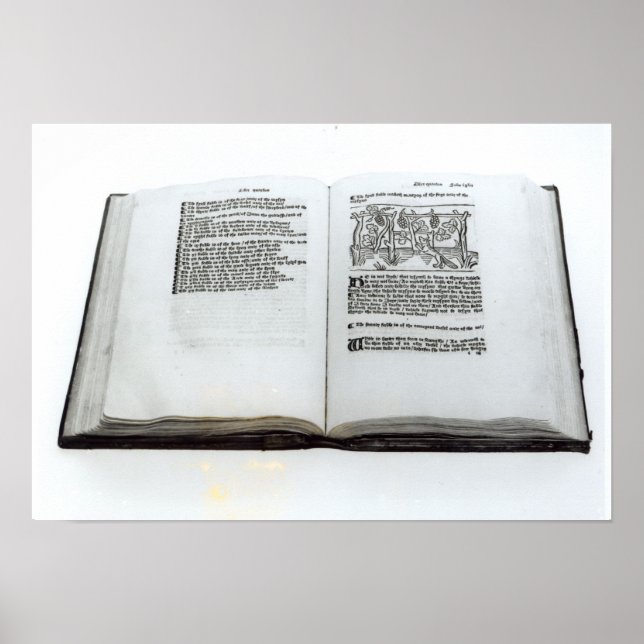 The Fox and the Grapes Poster (Front)