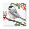 The Friendly Black Capped Chickadee Bird Magnet