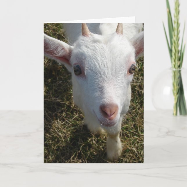 The Friendly Goat Card (Front)