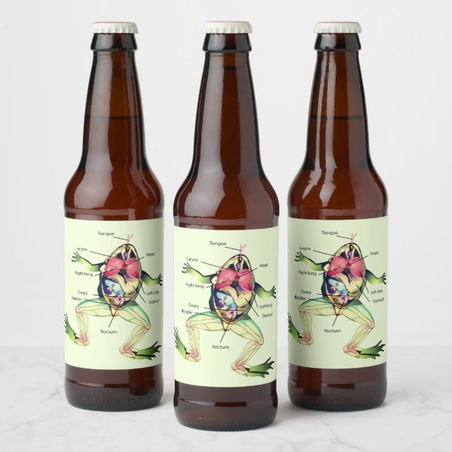 The Frog's Anatomy Green Beer Bottle Label (Bottles)