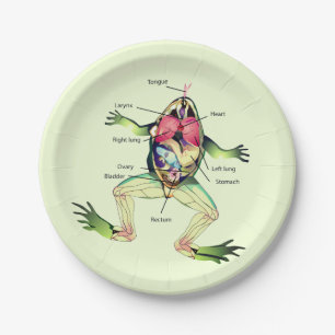 The Frog's Anatomy Green Paper Plate