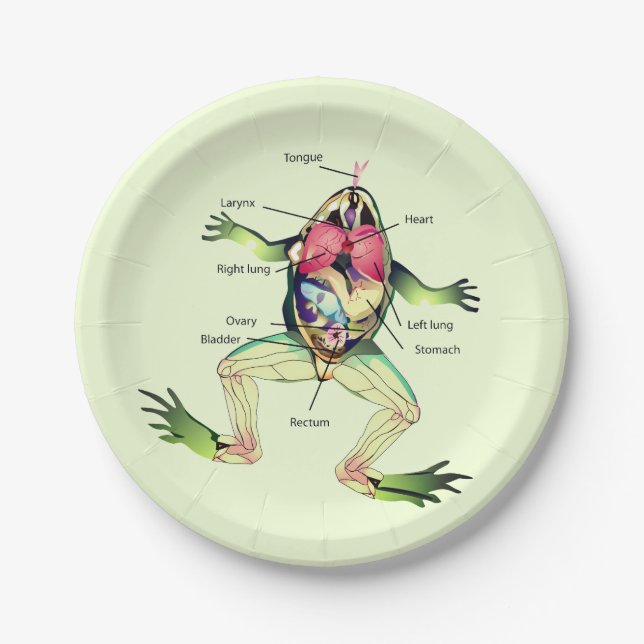 The Frog's Anatomy Green Paper Plate (Front)