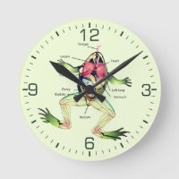 The Frog's Anatomy Green