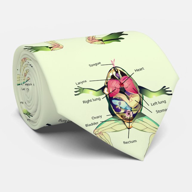 The Frog's Anatomy Green Tie (Rolled)