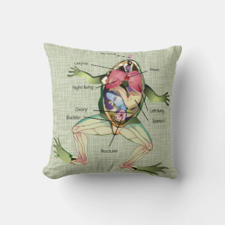 The Frog's Anatomy Illustration Cushion