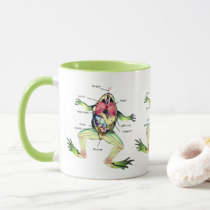 The Frog's Anatomy Illustration Green Mug