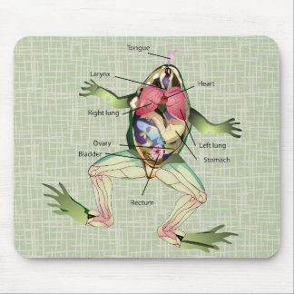 The Frog's Anatomy Illustration Mouse Mat