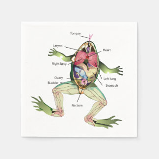 The Frog's Anatomy Napkin