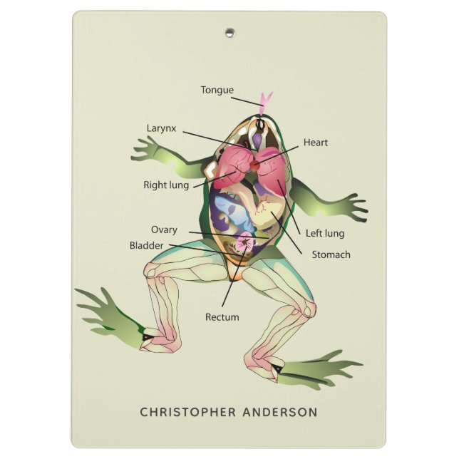 The Frog's Anatomy Personalised Clipboard (Back)
