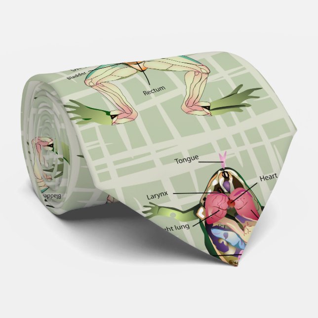 The Frog's Anatomy Tie (Rolled)