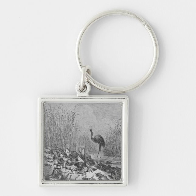 The frogs asking for a king, key ring (Front)