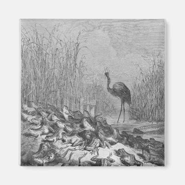 The frogs asking for a king, magnet (Front)