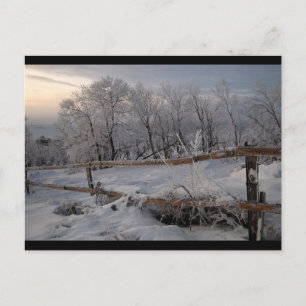 The Frozen North Postcard