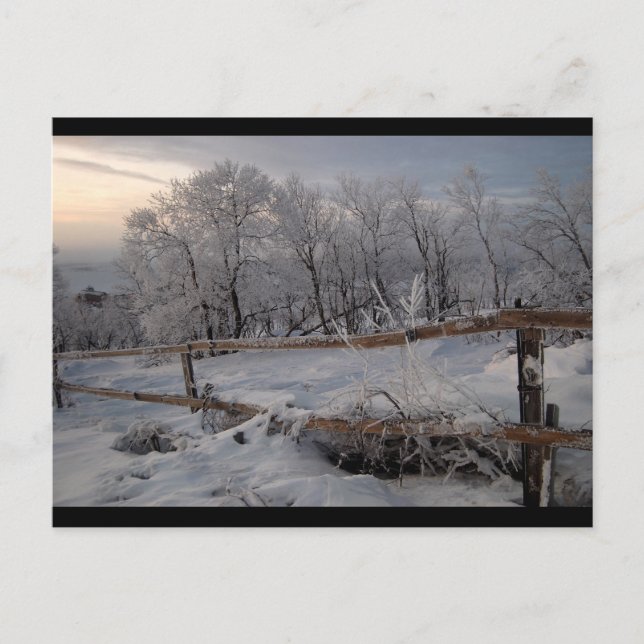 The Frozen North Postcard (Front)