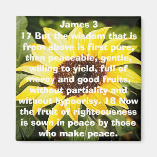 the fruit of righteousness bible verse sunflower magnet