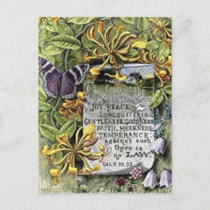 The Fruit Of The Spirit Postcard