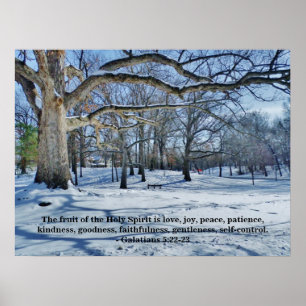 THE FRUIT OF THE SPIRIT POSTER